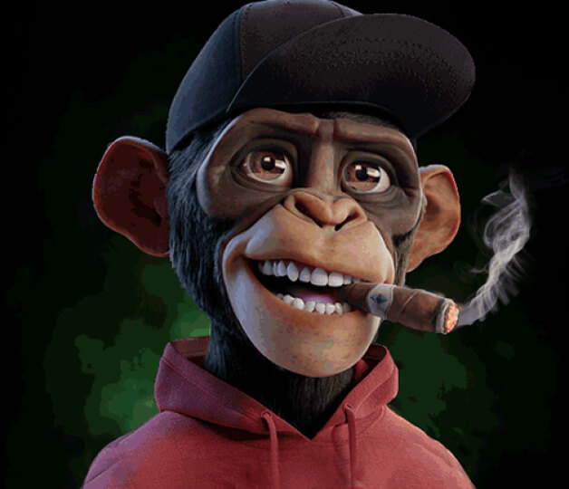Monkey